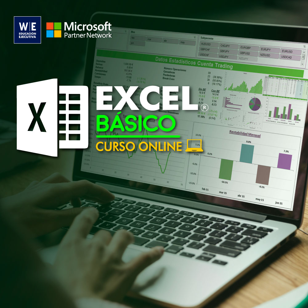 Excel Básico | Online